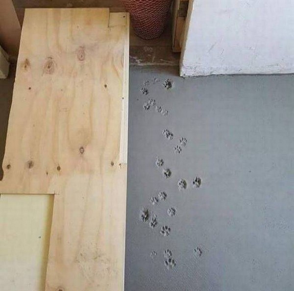 �������� �����