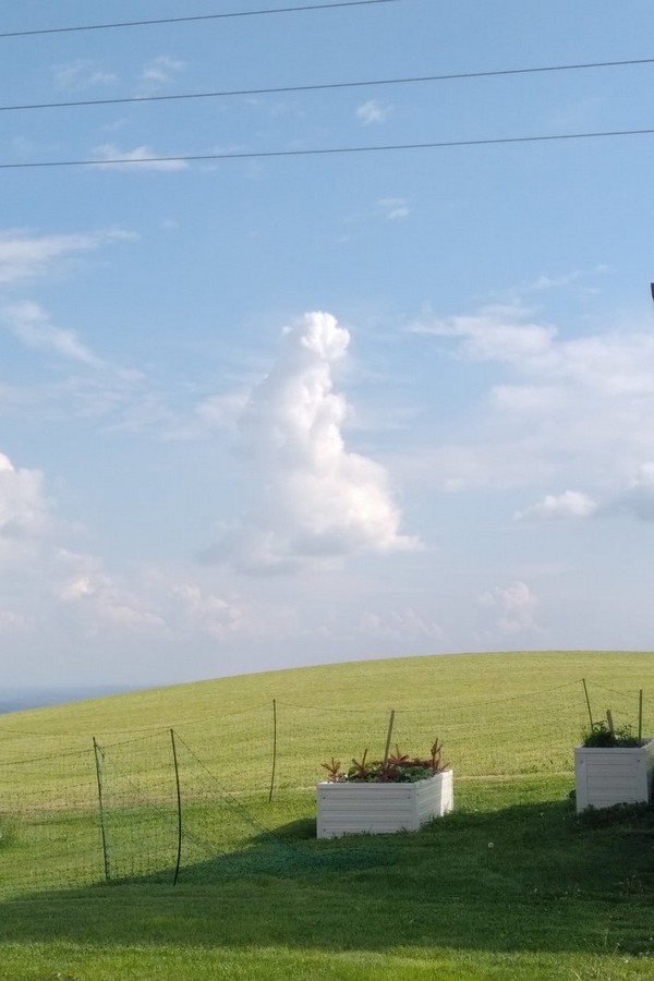 �������� �����