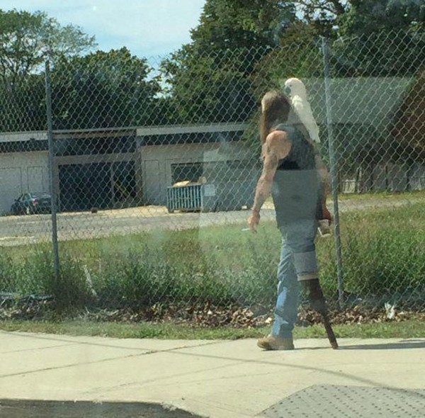 �������� �����