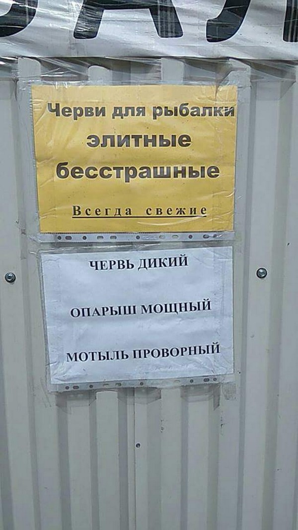 ������� ������