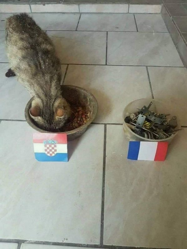 �������� �����