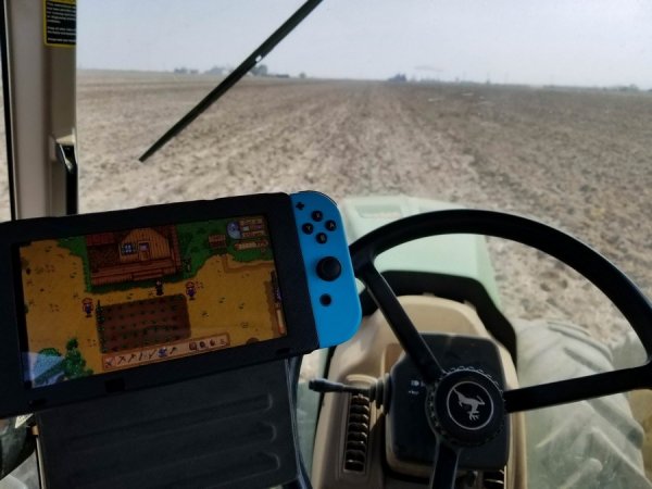 �������� �����