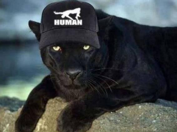 �������� ������