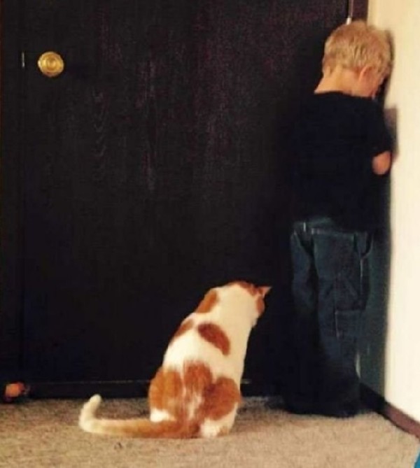 �������� ������