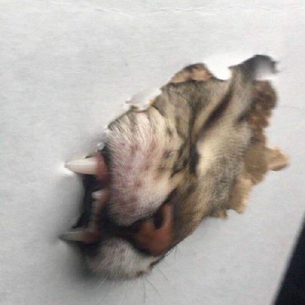 �������� ������