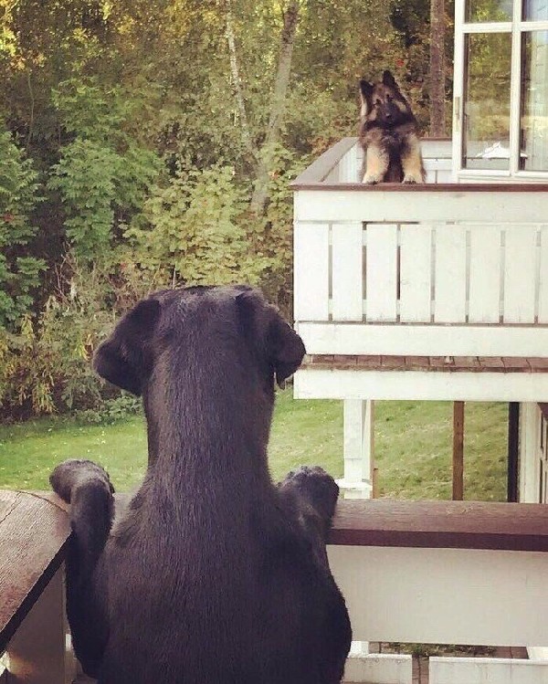 �������� ������