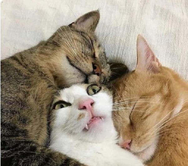 �������� ������