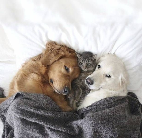 �������� ������