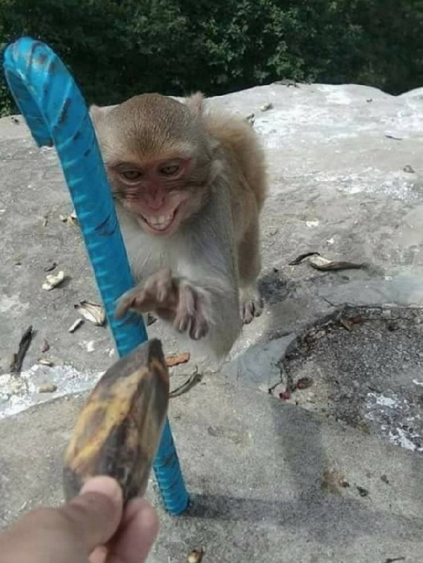 �������� ������