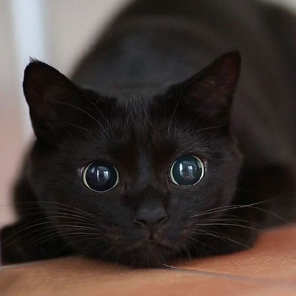 �������� ������