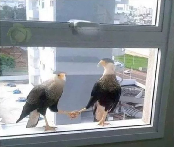 �������� ������