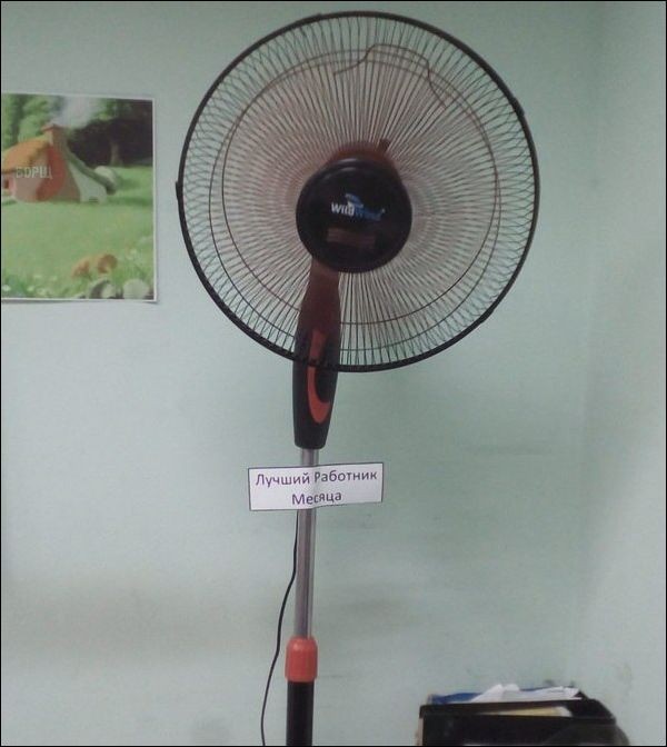 ������ �������