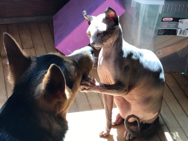 �������� ������