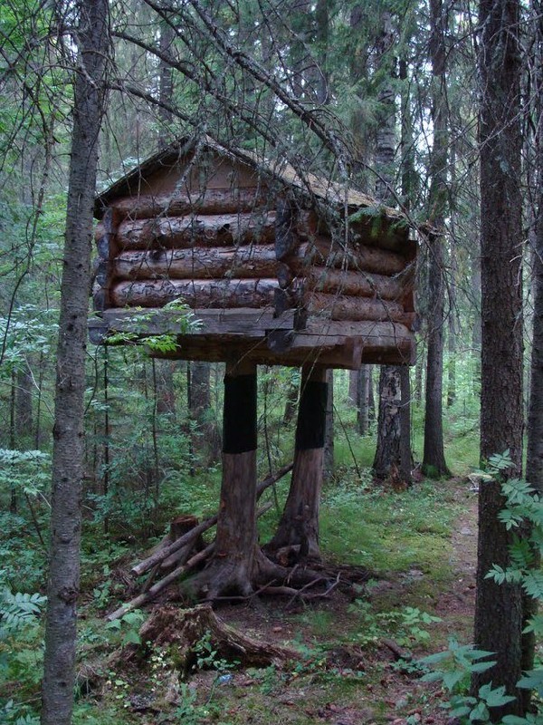 ���� ��������