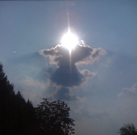 ���� ��������