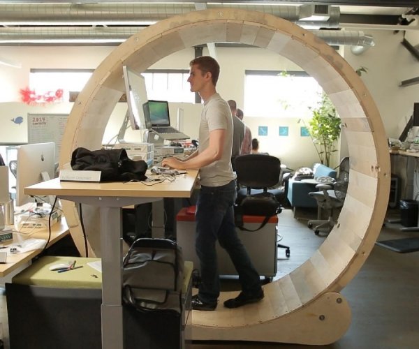 ���� ��������