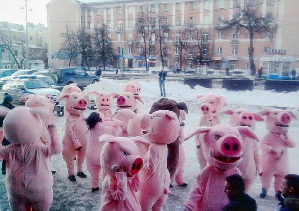 ���� ��������