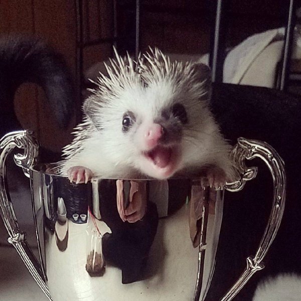 ��������