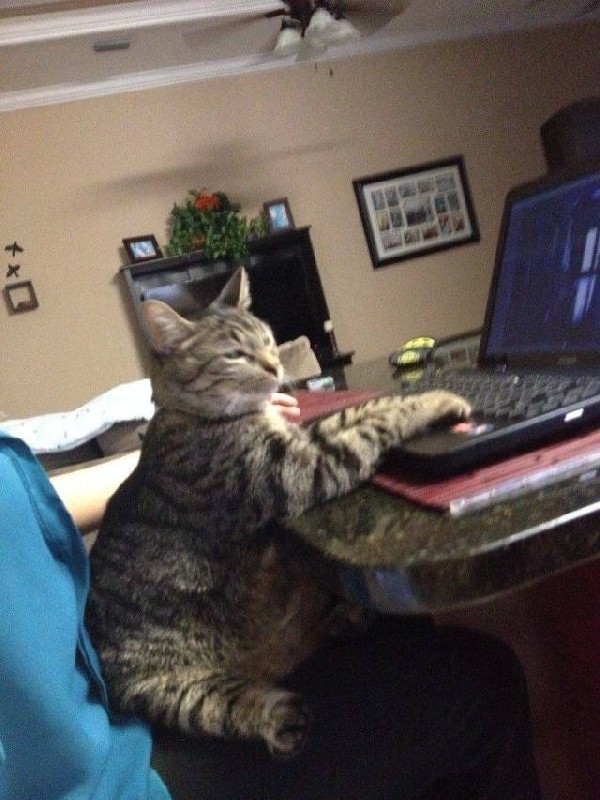 ��������