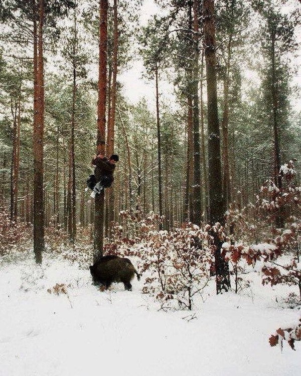 ��������