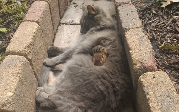 ��������