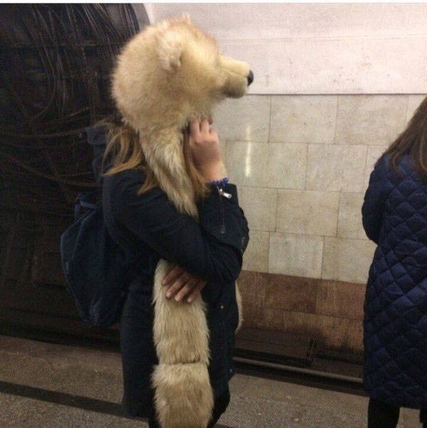 ��������