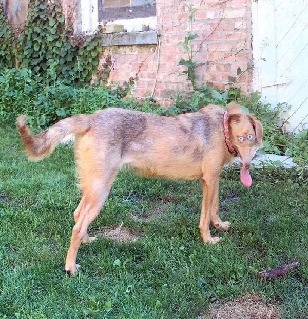 �������� � �����������