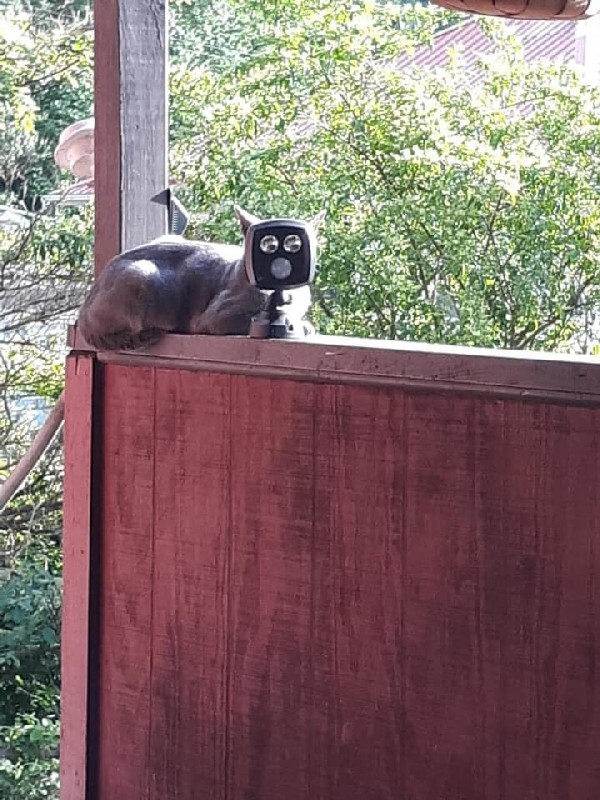 �������� � �����������