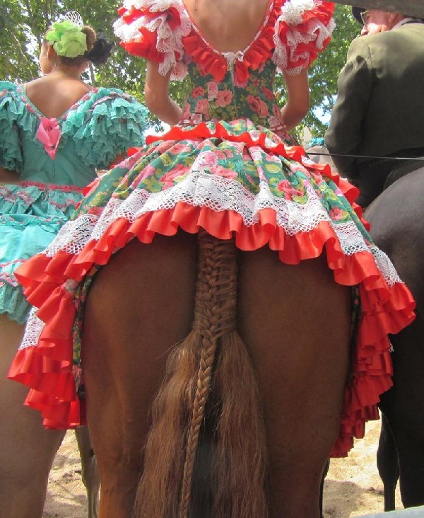 �������� � �����������