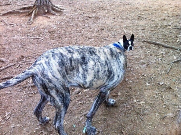 �������� � �����������