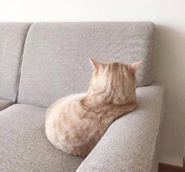 �������� � �����������