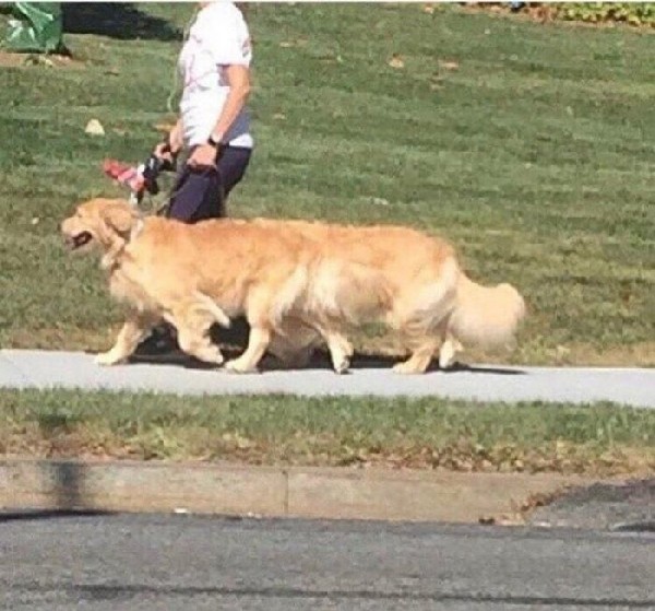 �������� � �����������