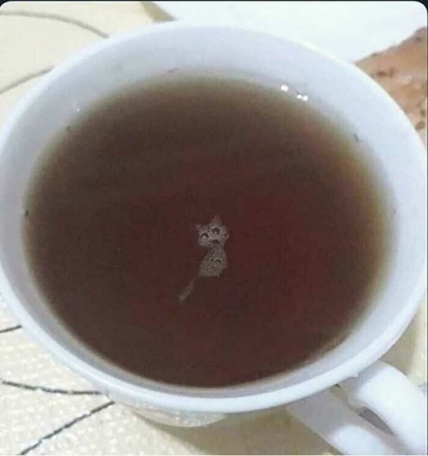 ������������ ������������