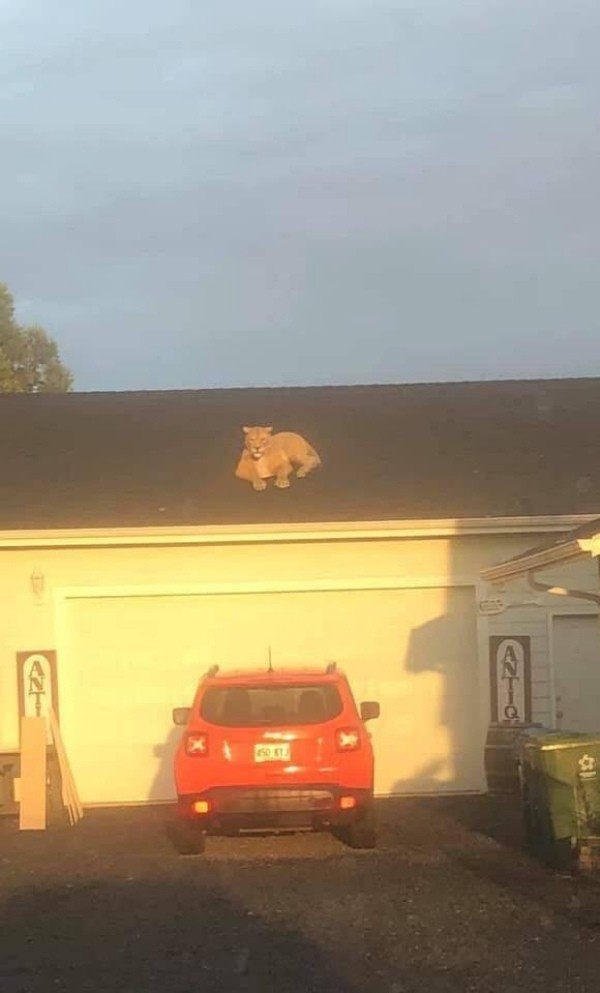 ������������ ������������