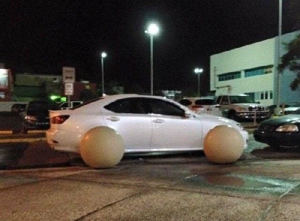 ������������ ������������