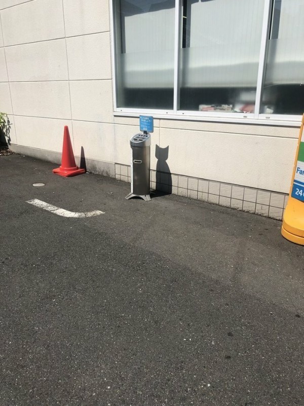 ������������ ������������