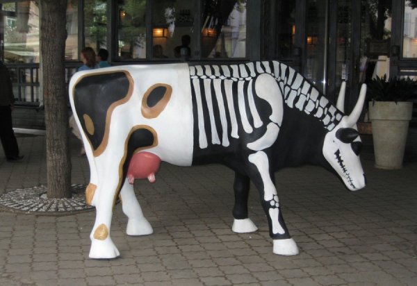 �������� � �����������