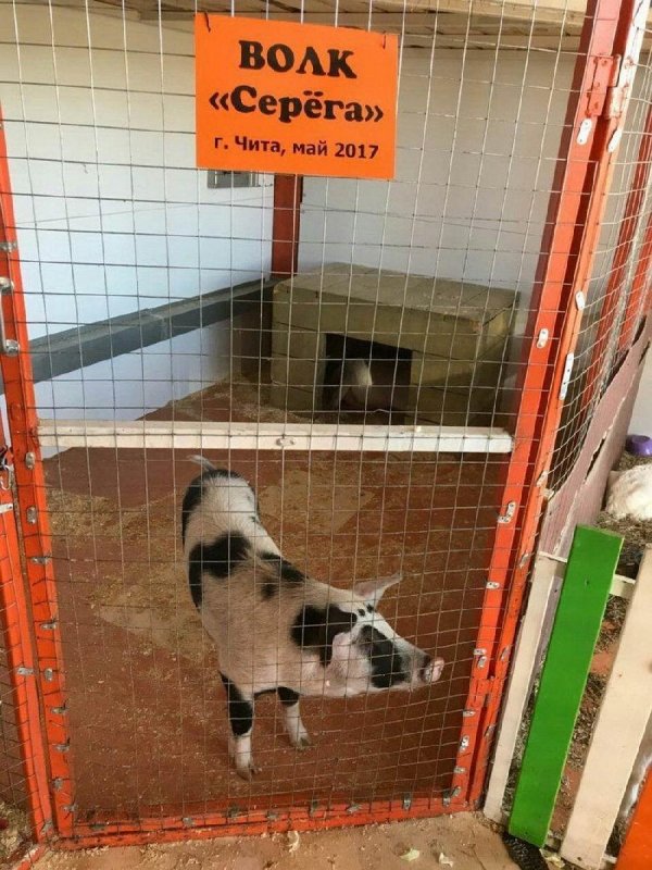 ������ � ������ �������