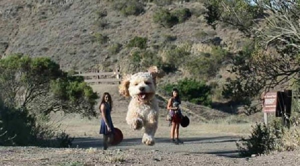 ����� �� ���������