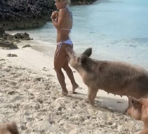 ����� �� ���������