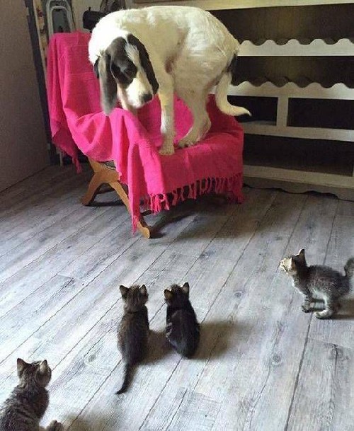 ����� �� ���������