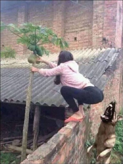 ����� �� ���������