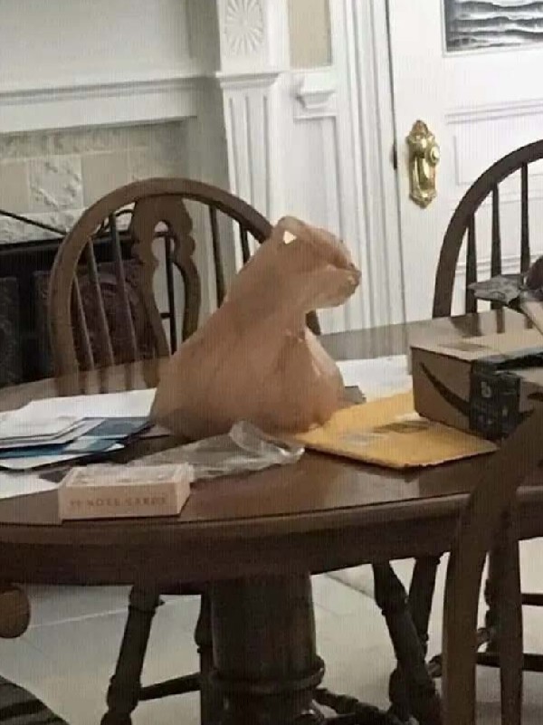 �������� ���������� � �� �����