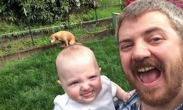 �������� ���������� � �� �����