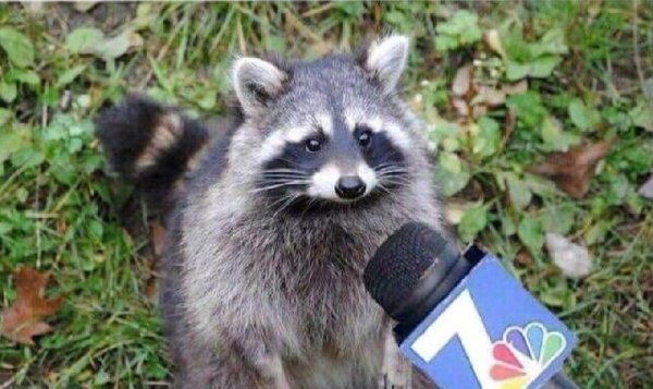 ����� �� ���������