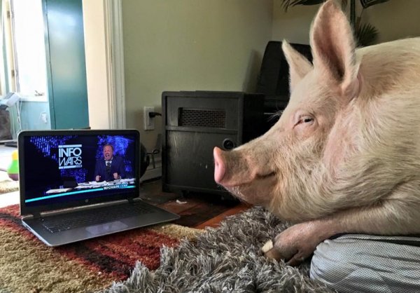 ����� �� ���������