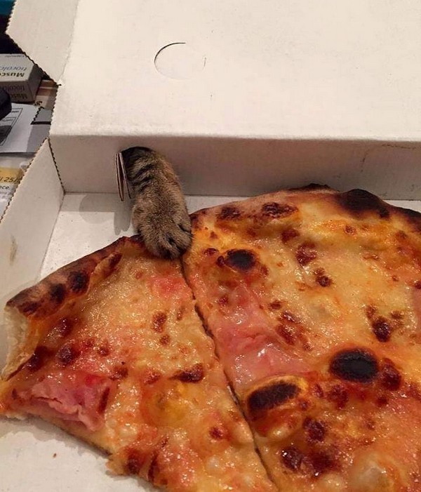 ����� �� ���������