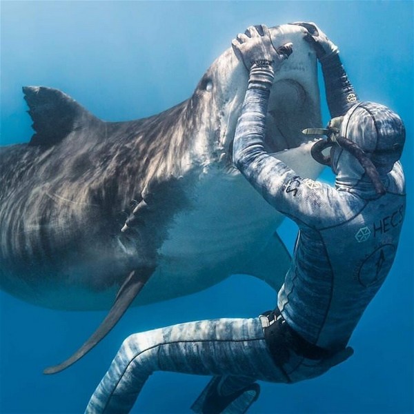 ����� �� ���������