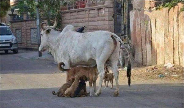 ����� �� ���������