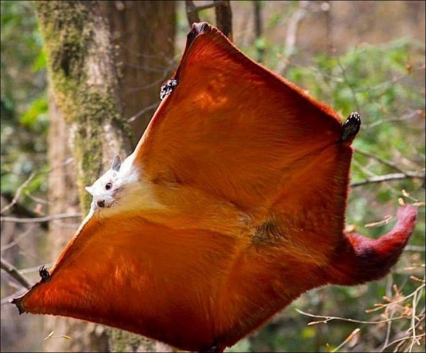 ����� �� ���������